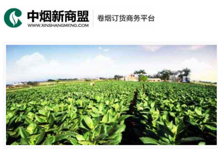 中烟新商盟卷烟订货商务平台-腾博会官网
